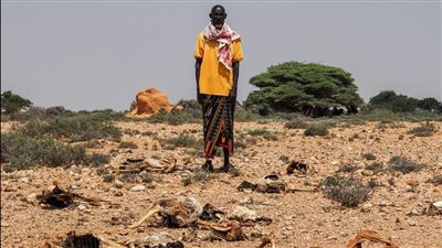 وكالات أممية تدعو لاتخاذ إجراءات عاجلة لتجنب المجاعة بالصومال
