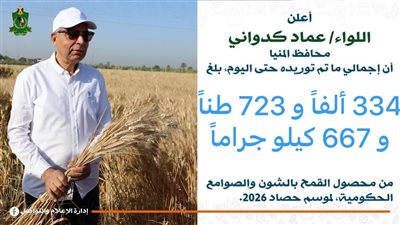 توريد 334 ألف طن قمح منذ بداية موسم الحصاد 2026 بالمنيا