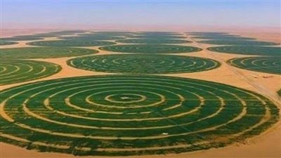 الدلتا الجديدة.. أكبر مشروع زراعي وتنموي متكامل في تاريخ مصر