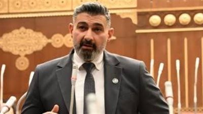 نجوم الفن في مجلس الشيوخ لمناقشة مقترح ياسر جلال عن حق الأداء العلني