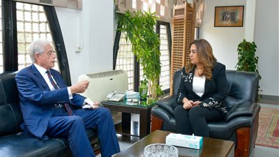 خطة حكومية لتطوير الأسواق والمناطق التاريخية بالمحافظات