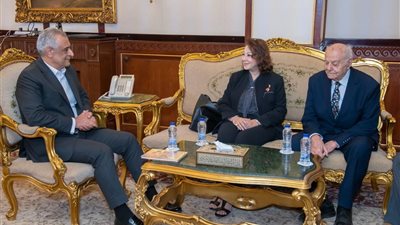 وزير الإنتاج الحربي يبحث مع خبير دولي توطين تكنولوجيا الطاقة الشمسية الحرارية