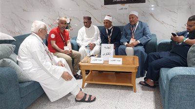 بعثة الأزهر تبدأ مهامها التوعوية بالأراضي المقدسة لخدمة الحجاج المصريين وإرشادهم