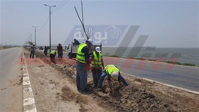 محافظ كفرالشيخ: التوسع في زراعة الأشجار حق للأجيال القادمة ودعم للاستدامة البيئية