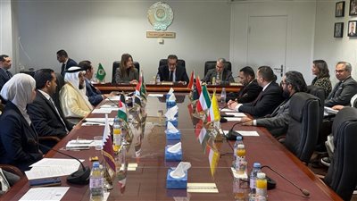 مصر تؤكد دورها الإنساني تجاه فلسطين وتدعو لتكاتف عربي في مواجهة التحديات الصحية
