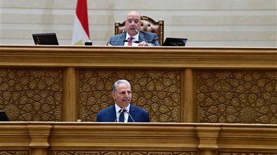 مجلس النواب يناقش مشروع قانون الأمن البيولوجي