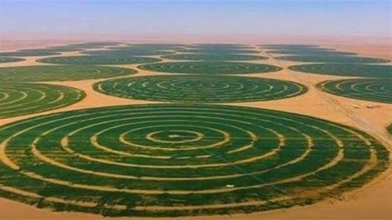 الدلتا الجديدة 