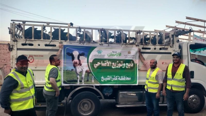الأضاحي 
