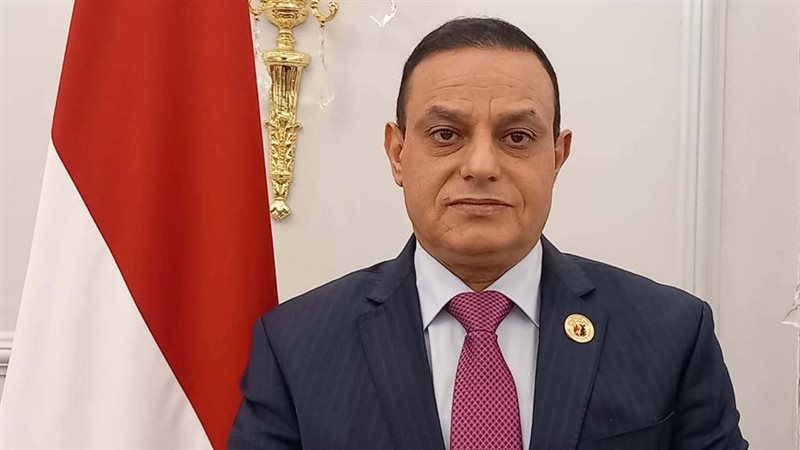 النائب مختار همام