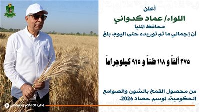 انتظام توريد الأقماح وتسلم 375 ألف طن منذ بدء موسم الحصاد بالمنيا