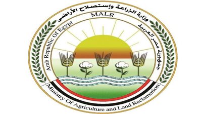 عاجل .. الزراعة توضح أسباب ارتفاع أسعار الطماطم