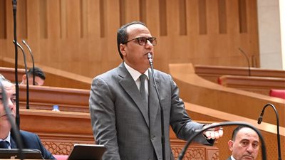 برلماني يدعو للاستفادة من المنح ويطرح مطالب قرى حوش عيسى