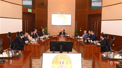نائب رئيس الوزراء للشئون الاقتصادية يبحث مع وفد صيني تعزيز الاستثمارات في الموانئ والخدمات اللوجستية