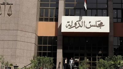 المحكمة الإدارية العليا تؤيد أحقية المواطنين في توصيل المرافق للعقارات القائمة ما لم تُنفذ بشأنها قرارات إزالة
