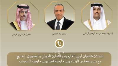 وزير الخارجية يبحث هاتفيا مع نظيريه السعودي والقطري التطورات الإقليمية وخفض التصعيد 