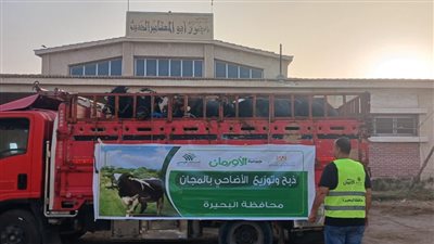 توزيع لحوم 2000 عجل بلدي على الأسر الأولى بالرعاية خلال عيد الأضحى 