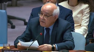 المراقب الدائم لفلسطين بالأمم المتحدة: لا شيء يبرر العقاب الجماعي لأكثر من مليوني فلسطيني