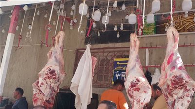 محافظ البحيرة: بدء تشغيل 34 منفذًا وشادرًا لبيع اللحوم البلدية بأسعار مخفضة