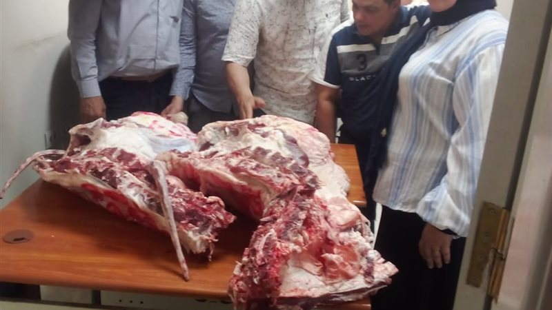 جانب من المضبوطات
