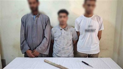كشف ملابسات تداول  فيديو بحدوث مشاجرة بين عدد من الأشخاص بالبحيرة 