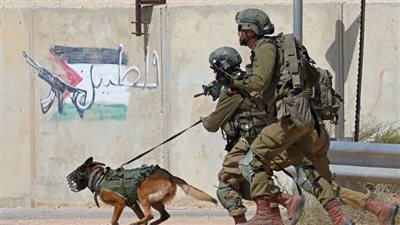 ناشط موريتاني بأسطول الصمود: كلاب إسرائيلية أصابتني في رأسي