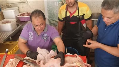 ضبط نصف طن لحوما ودواجن وأسماكا فاسدة ومجهولة المصدر وتحرير 83 محضرًا بالغربية