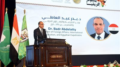 وزارتا الخارجية والتعليم العالي تنظمان احتفالية “يوم أفريقيا” بمقر جامعة القاهرة