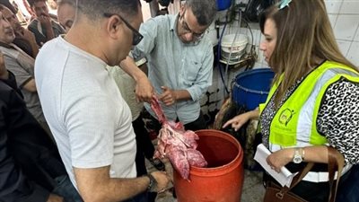 سلامة الغذاء: تكثيف الرقابة على اللحوم قبل عيد الأضحى.. و280 ألف طن صادرات غذائية خلال أسبوع