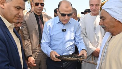 محافظ الغربية يشهد إطلاق مليون زريعة أسماك بلطي نيلي بقرية ميت بدر حلاوة