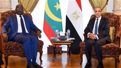 وزير الخارجية يبحث مع نظيره الموريتاني تطوير أطر التعاون الثنائي وتنسيق الجهود إزاء القضايا الإقليمية