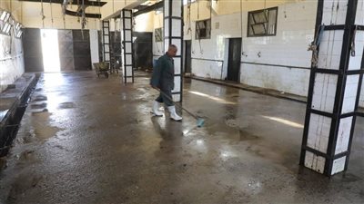 استعدادا للعيد.. محافظ المنيا يعلن جاهزية 38 مجزرًا حكوميًا مجانًا ويشدد على منع النحر خارج المجازر