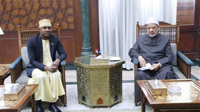 شيخ الأزهر يستقبل وزير خارجية جزر القمر ويبحثان تعزيز الدعم العلمي والدعوي لأبناء جزر القمر 