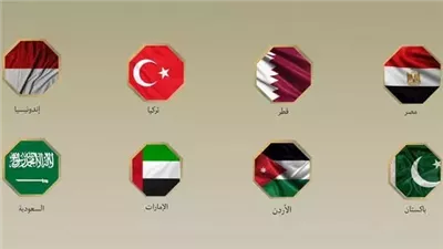 مصر و7 دول عربية وإسلامية تدين أفعال بن غفير مع المشاركين في الأسطول المتجه لغزة