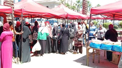  الإسكندرية تتوسع في أسواق اليوم الواحد استعدادًا لعيد الأضحى.. سلع مخفضة بجميع الأحياء