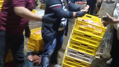 ضبط طن ونصف الطن أجزاء دواجن فاسدة داخل مجزر غير مرخص بالغربية