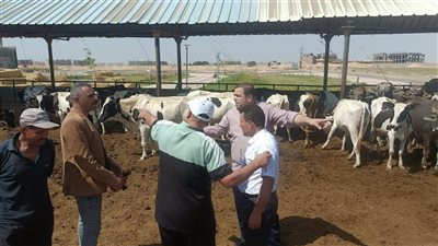 جامعة مدينة السادات تطلق حملة توعوية حول الأضحية والذبح الآمن 