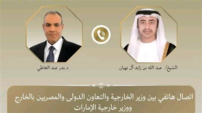 وزير الخارجية يبحث ونظيره الإماراتي التطورات الاقليمية