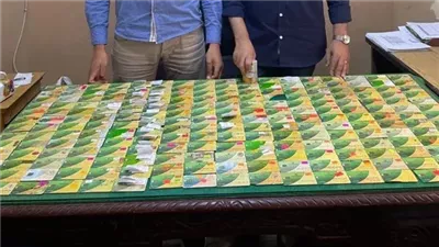 تموين الإسكندرية: ضبط ٢٤٧ بطاقة تموينية بأحد المخابز البلدية