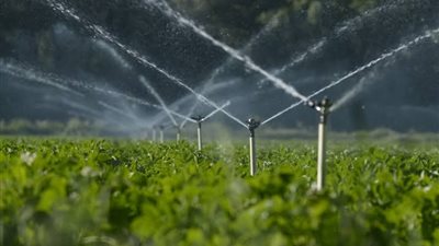 باحث: تطوير الري الحديث يقلل الفاقد المائي ويدعم التوسع الزراعي