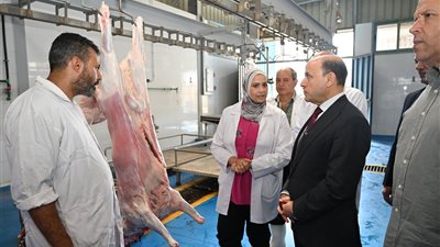  محافظ الغربية يتفقد مجزر شبشير الحصة للوقوف على الاستعدادات لعيد الأضحى المبارك 