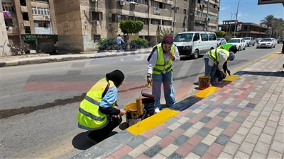 محافظ كفر الشيخ: «جميلة يا بلدي» أكبر مبادرة بيئية متكاملة