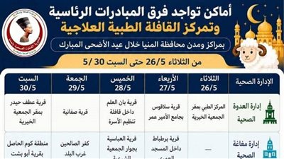 صحة المنيا.. استمرار خدمات فحص المقبلين على الزواج وصرف ألبان الأطفال خلال إجازة العيد