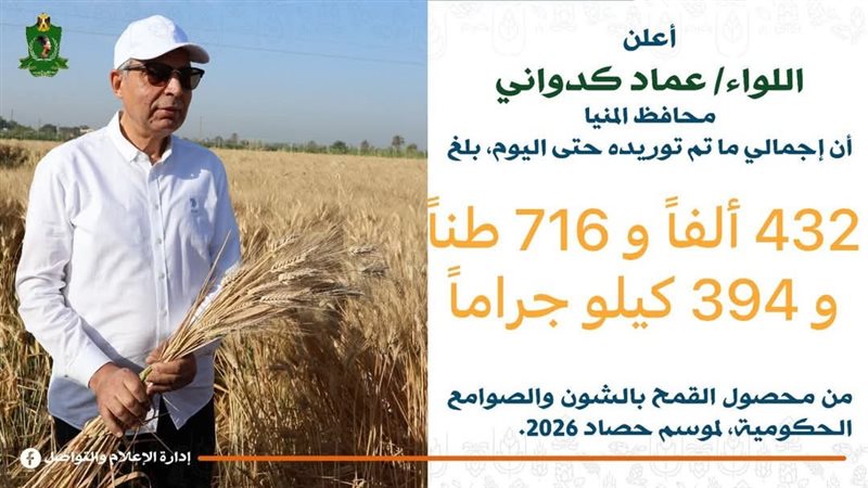 توريد القمح بالمنيا