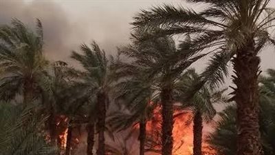 الجيش الهندي وسلاح الجو يخمدان حريق غابات في ولاية هيماتشال بعد 15 ساعة