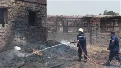 نفوق 7 رؤوس ماشية في حريق حظيرة بالمنيا