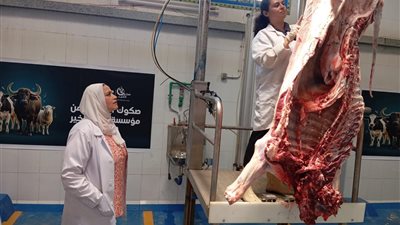محافظ الغربية يتابع أعمال ذبح الأضاحي بالمجان فى المجازر الحكومية