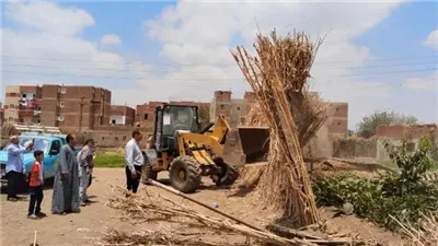 زراعة الإسكندرية تواصل حملات إزالة التعديات على الأراضي الزراعية خلال ثاني أيام عيد الأضحى