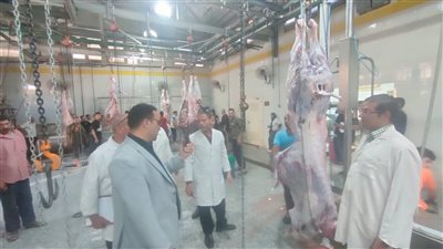  ذبح 92 رأس أضحية بمجزر شبين الكوم المطور وأشمون وتوزيعها على الأسر الأولى بالرعاية بالمنوفية