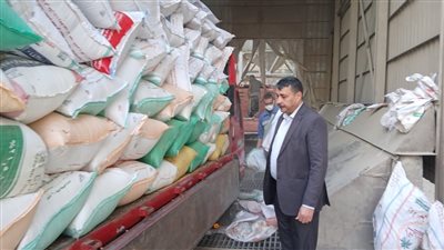 توريد أكثر من 140 ألف طن قمح  للصوامع في المنوفية