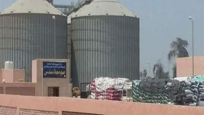 توريد 270 ألفًا و527 طنًا من الأقماح المحلية لمراكز التخزين ببني سويف